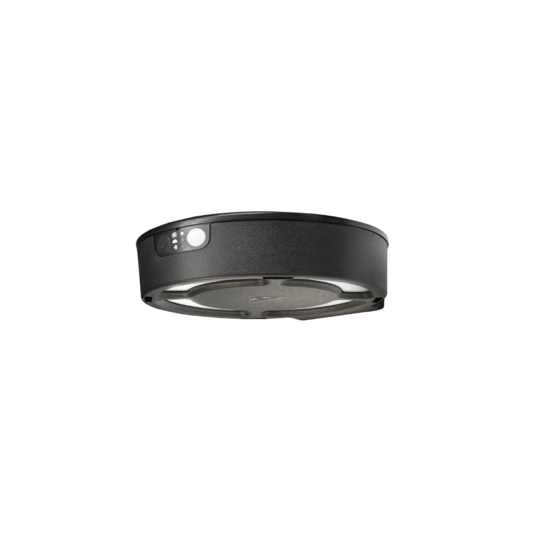 Aishleen Solar Powered Outdoor Flush Mount with Dusk to Dawn, Black