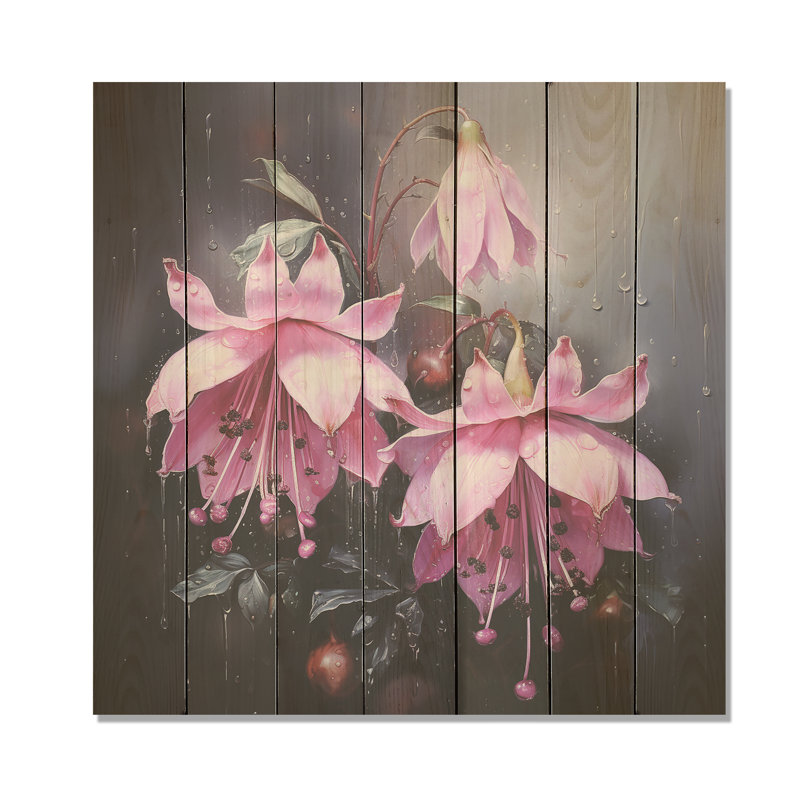 Garden Purple Hardy Fuchsia Plants II - Fuschia On Wood Print, 36" H x 36" W