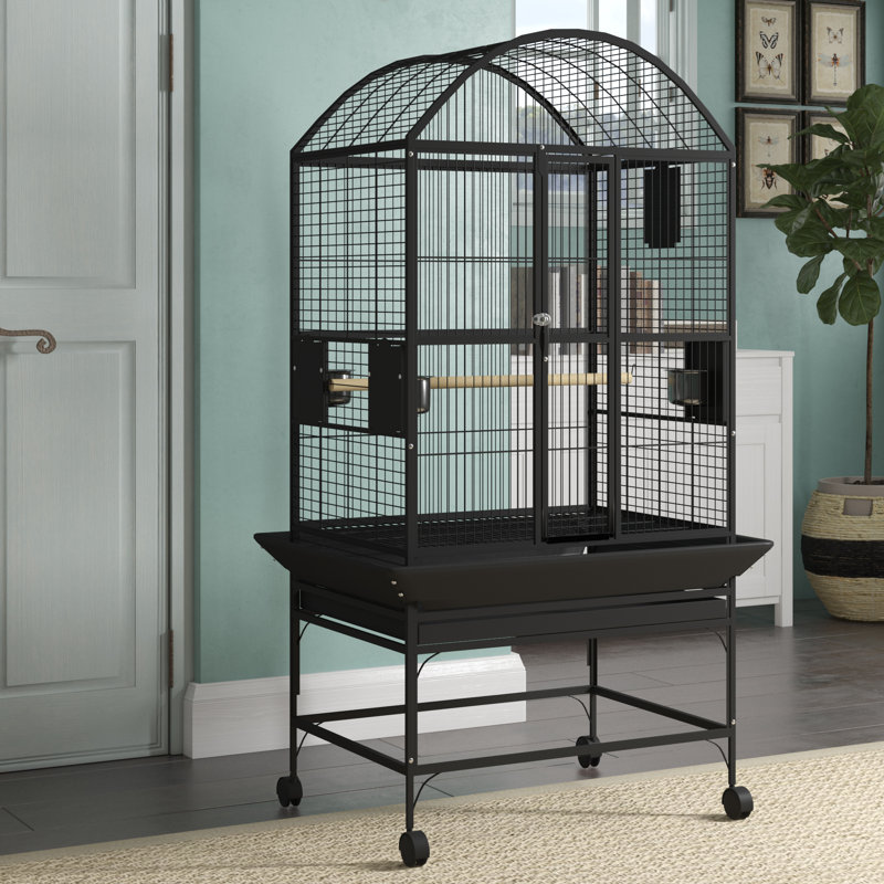 Cage large large noire par A&E, Noir, 63" H x 32" L x 23" W
