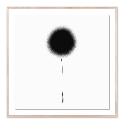 Black Dandelion Framed Print