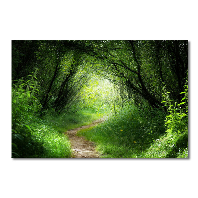 Wrapped Canvas Print, 80cm H x 100cm W x 2cm D