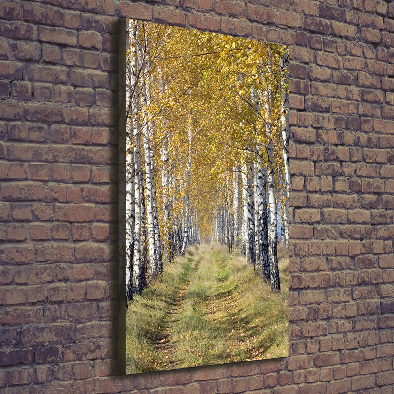 Birch Forest - Wrapped Canvas Print