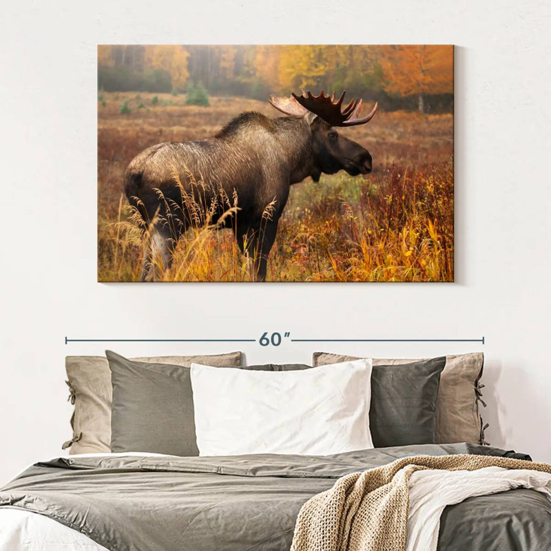 Crowle Mighty Alaskan Moose, H 34 po x l 51 po