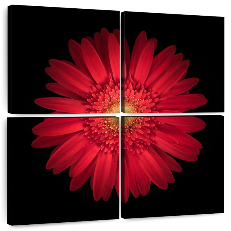 Harnek Bright Red Daisy