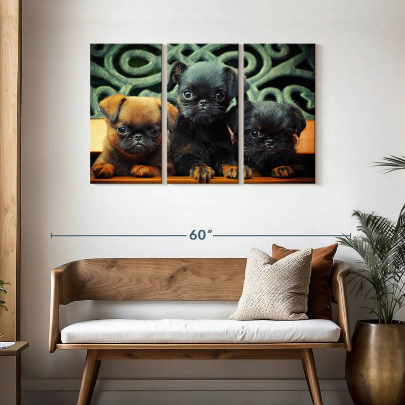 Griffon Puppies, 28" H x 45" W