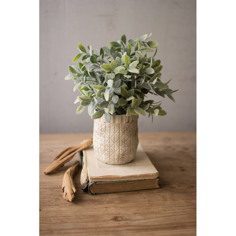  Sauge artificielle en pot blanc rustique Criss Cross