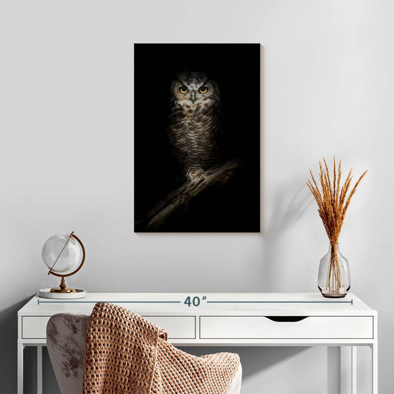 Brampt Wise Night Owl, 24" H x 16" W