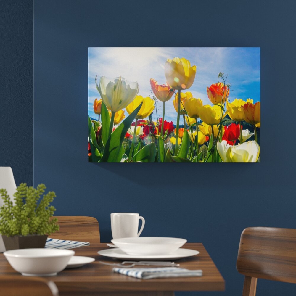 Leinwandbild „Blumenwiese Froschperspektive“, Fotodruck