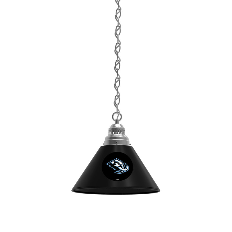 1 - Light Single Pendant, Chrome, Arizona Coyotes