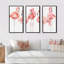 Gracieusement rose Shabby Flamingo - ensemble d'art mural encadré sur toile Shabby Elegance, par 3-72043332-72044427
