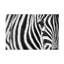 «Zebra Stripes» par Richard Guijt - reproduction d'art sur toile tendue-2081026096