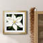 «Midnight Magnolia I», reproduction encadrée de qualité supérieure - prête à être accrochée-1312906268-1312906262-1312969341