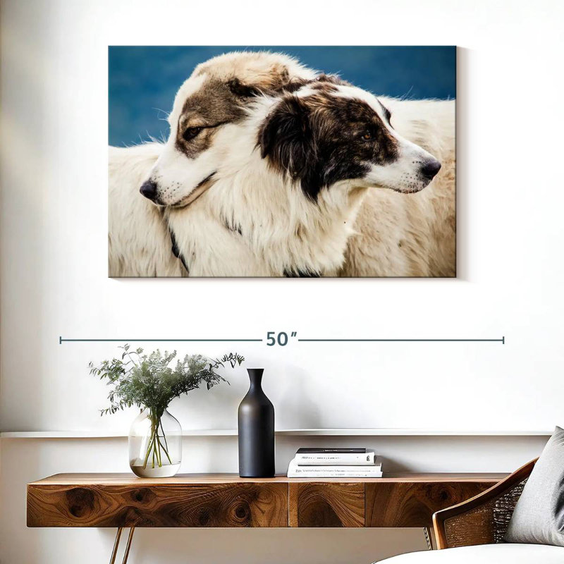 Brampt Australian Shepherd Dogs, 26" H x 39" W