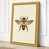 Ochre Border