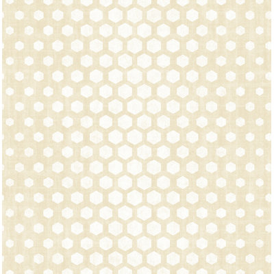 Rouleau de papier peint hexagonal Ballina L 32,81 pi x l 20,87 po