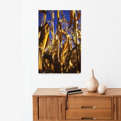 Close-Up Of Corn In A Field, Germany Abstract Contemporary Landscape Nature Wall Art