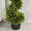 Charleston 90cm Faux Cedar Topiary in Pot