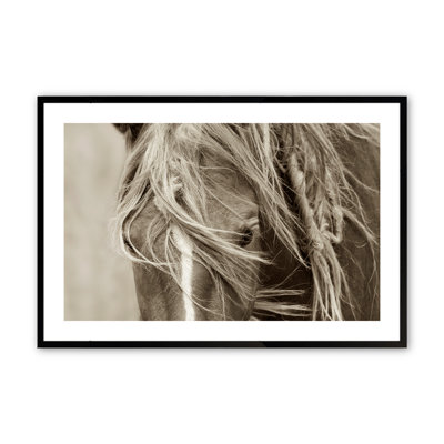 Coulston Graceful Majesty par Lisa Dearing