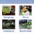 Wellhome Multi-functional Camping Trailer