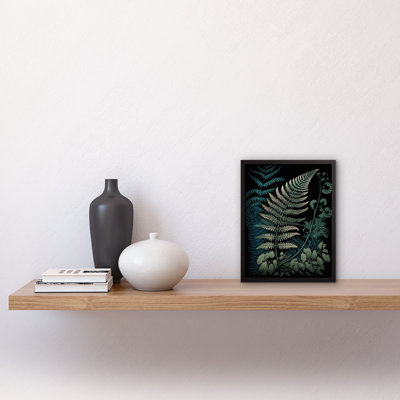 Detailed Fern Frond Species Botanical Single Picture Frame Wall Art