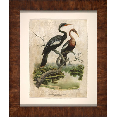 Water Turkey Painting
