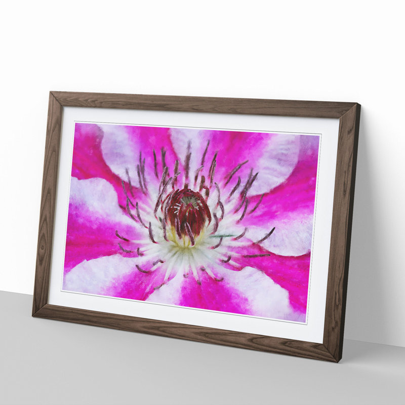 Pink Clematis Flower - Picture Frame Graphic Art, Walnut Framed, 48cm H x 65cm W x 2cm D