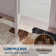 Tapis de salon Modern Abstract