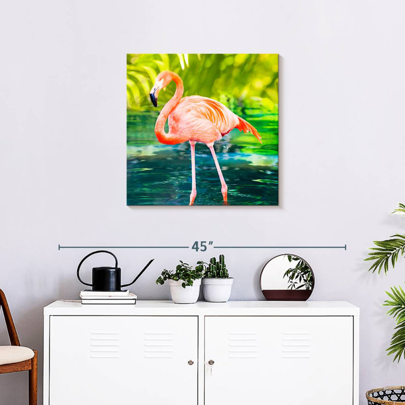 Flamant rose patauger dans l'eau