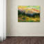 « summer high country », reproduction sur toile tendue-21939298