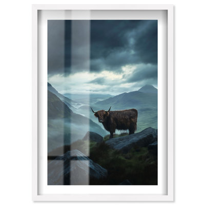 «Scottish Cow Shadowbox» par Notoriart