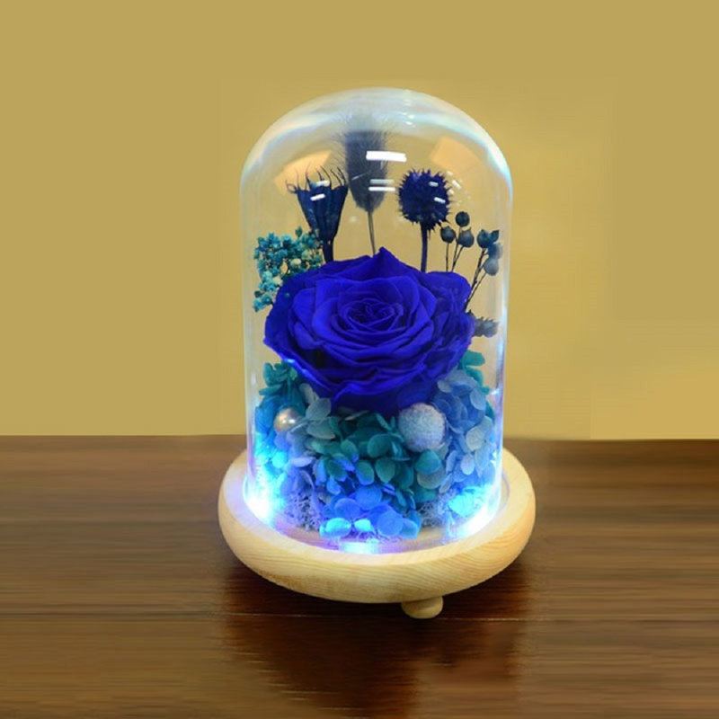 Penitas Cloche Or Water Globe