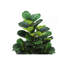 Plante artificielle, arbre violon, intérieur, faux, faux, plancher, verdure, pot, véritable touche, décoratif, feuilles vertes, pot noir-1377195612