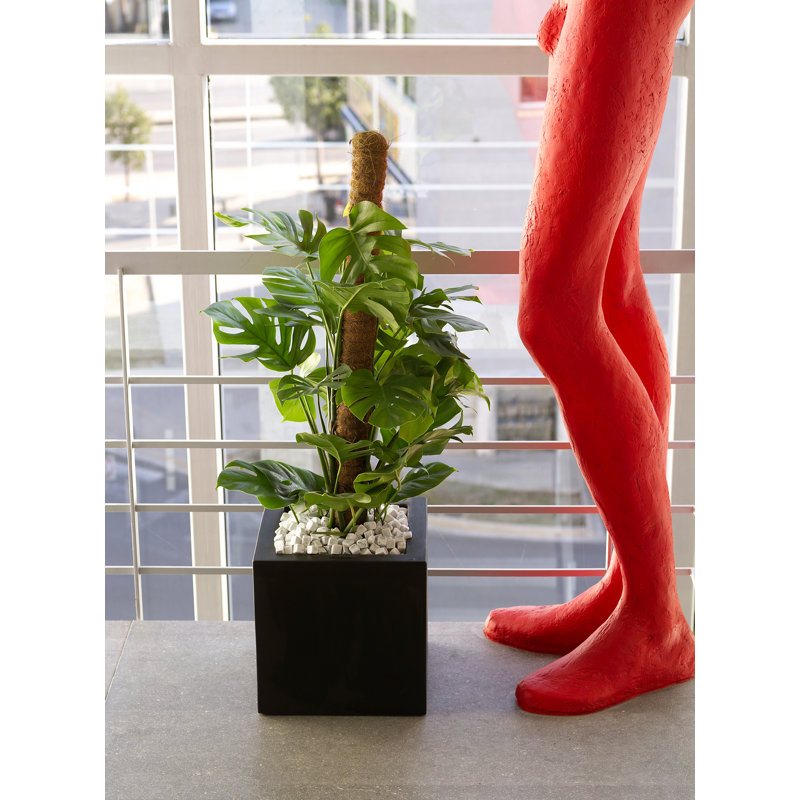 Pot de fleurs en résine Nano, H 7 po x l 7 po x P 7 po, Noir