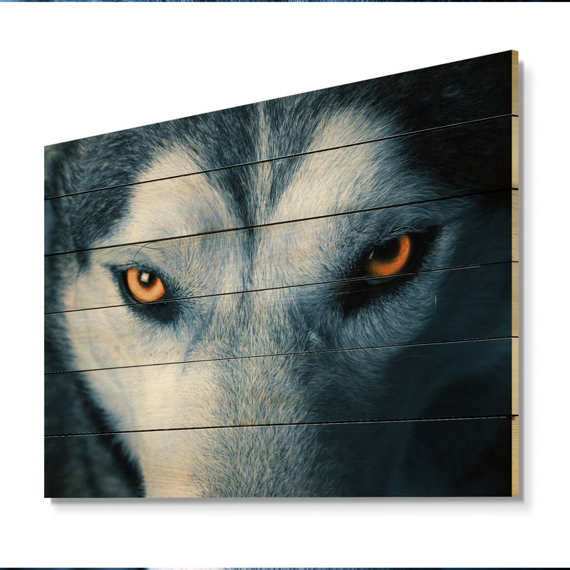Yeux de loup - peinture sur bois sans cadre, H 12 po x l 20 po x P 1 po