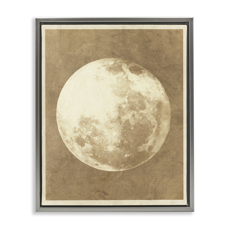 «Rustic Neutral Moon Gray» par Daphne Polselli, H 31 po x l 25 po, Cadre flottant gris lustré