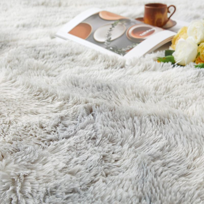Allesha Standard Shag Area Rug, Rectangle 50 x 80 cm
