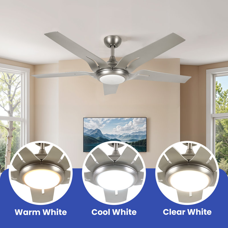 Kylani 54'' Ceiling Fan with LED Lights