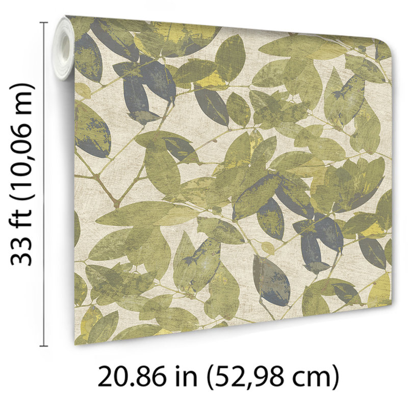 Papier peint feuilles de hêtre, Vert