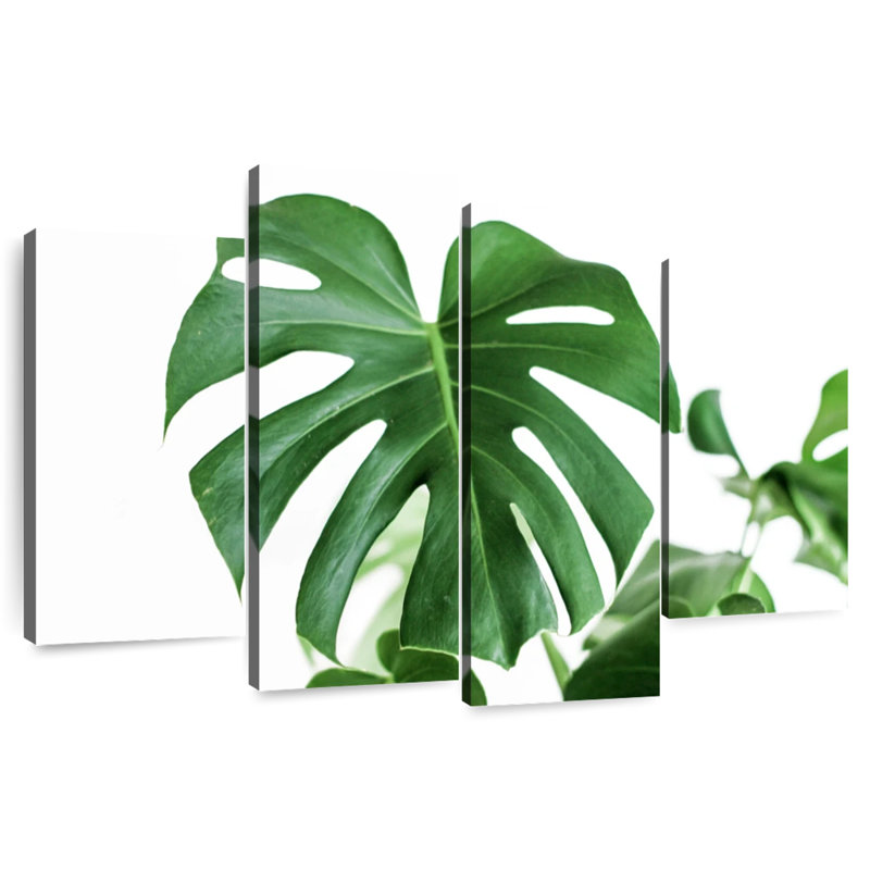 Monstera Leaf, 22" H x 36" W