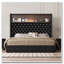 Cadre de lit doux en velours capitonné avec port USB et veilleuse, tête de lit haute 52 po avec rivets-1603809017-1603809019