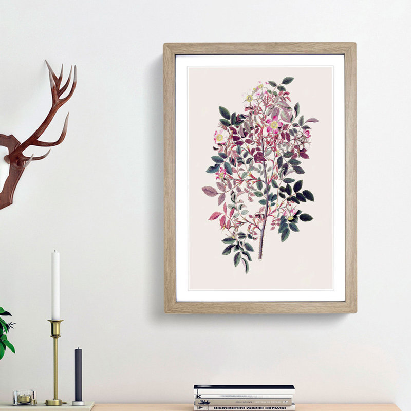 Redleaf Rose Flowers Illustration - Picture Frame Painting Print, 65cm H x 48cm W x 2cm D, Oak Framed