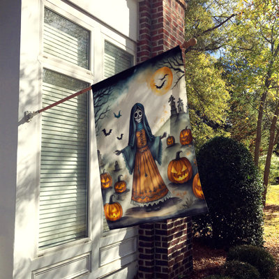 Double Sided 40'' H x 28'' W Polyester Halloween House Flag