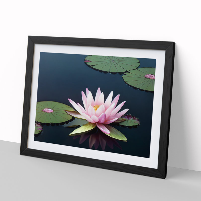 A Luscious Water Lily Flower - Single Picture Frame Print, Black Framed, 34cm H x 46cm W x 2cm D