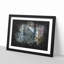 Colourful Forest - Framed Print-56916987-56916989