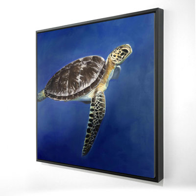 «Tortue dans l'océan»