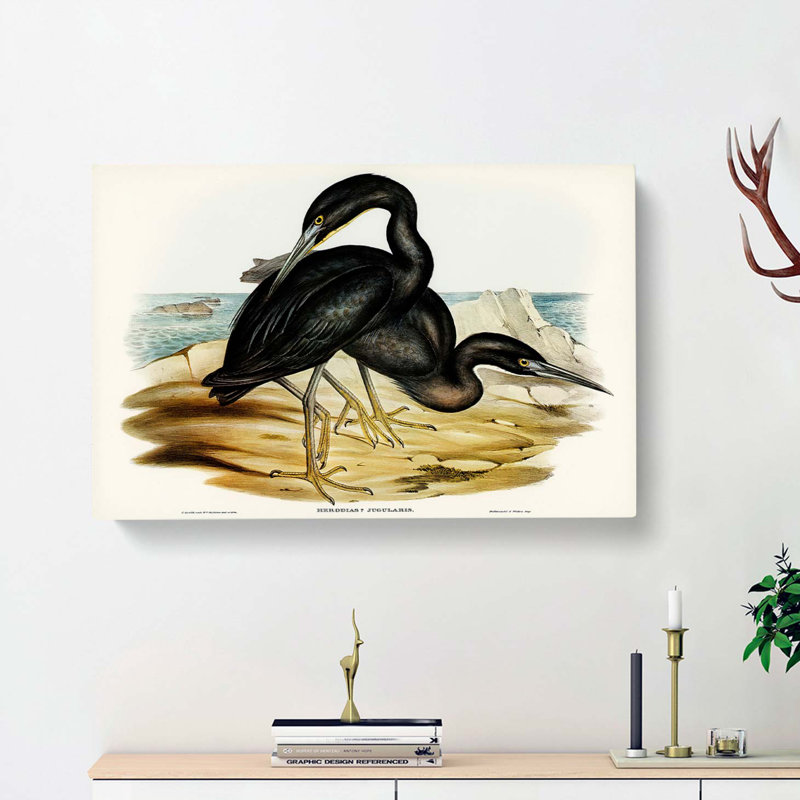 Blue Reef Herons by Elizabeth Gould - Wrapped Canvas, 35cm H x 50cm W x 3cm D