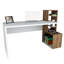 Bureau Lumpkins