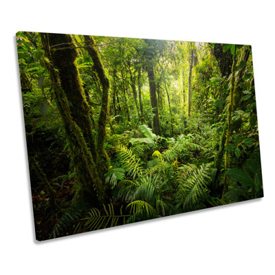 Forest Landscape Green Trees - Wrapped Canvas Print