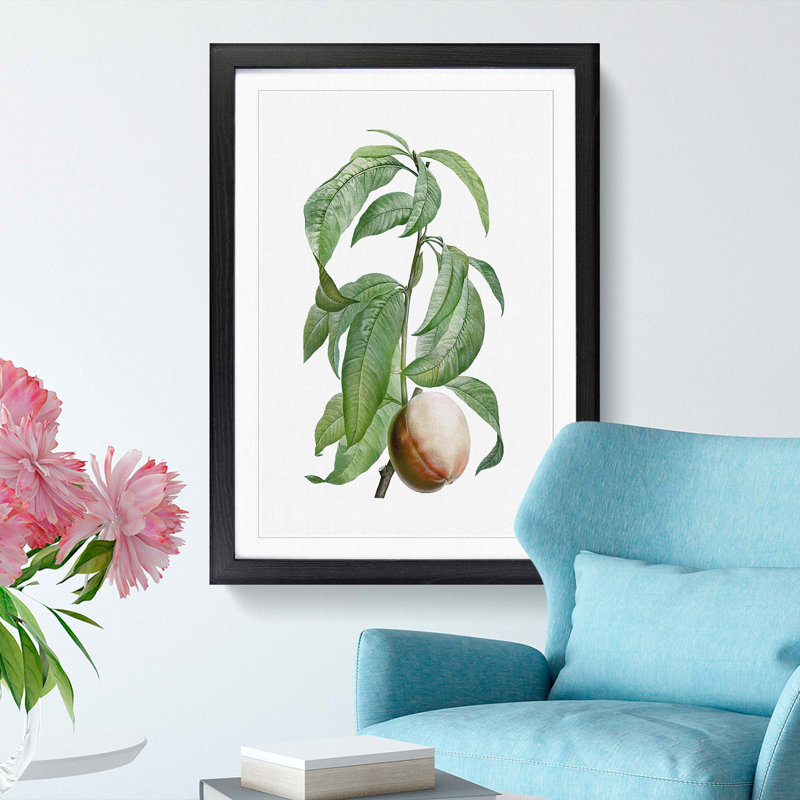 Peach on a Branch by Pierre-Joseph Redoute - Framed Print, Black Framed, 48cm H x 36cm W x 2cm D