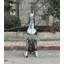 Statue de Doberman assis - XL-1867602668-1867602670
